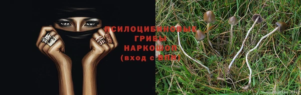 мяу мяу мука Березники