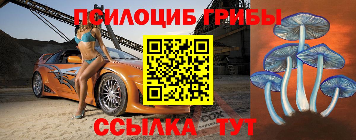 Галлюциногенные грибы Psilocybe Дубна