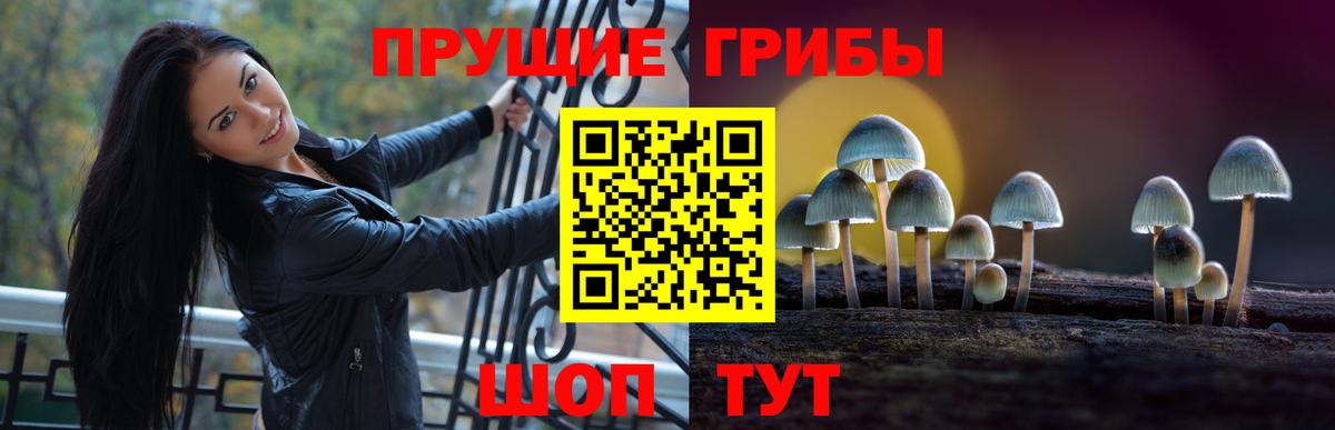 Галлюциногенные грибы Psilocybe  Вход с VPN  Дубна 