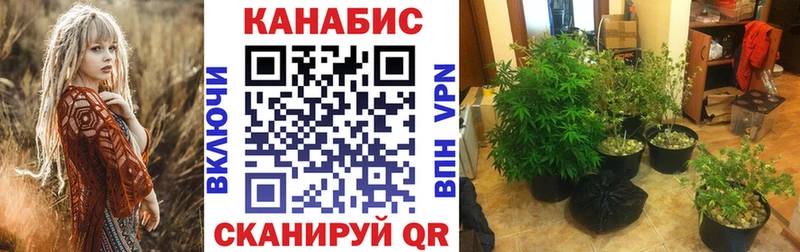 Бошки марихуана AK-47 где можно купить Дубна